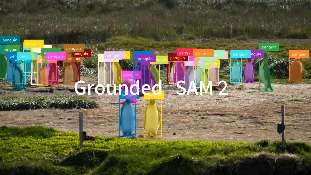 Video Name