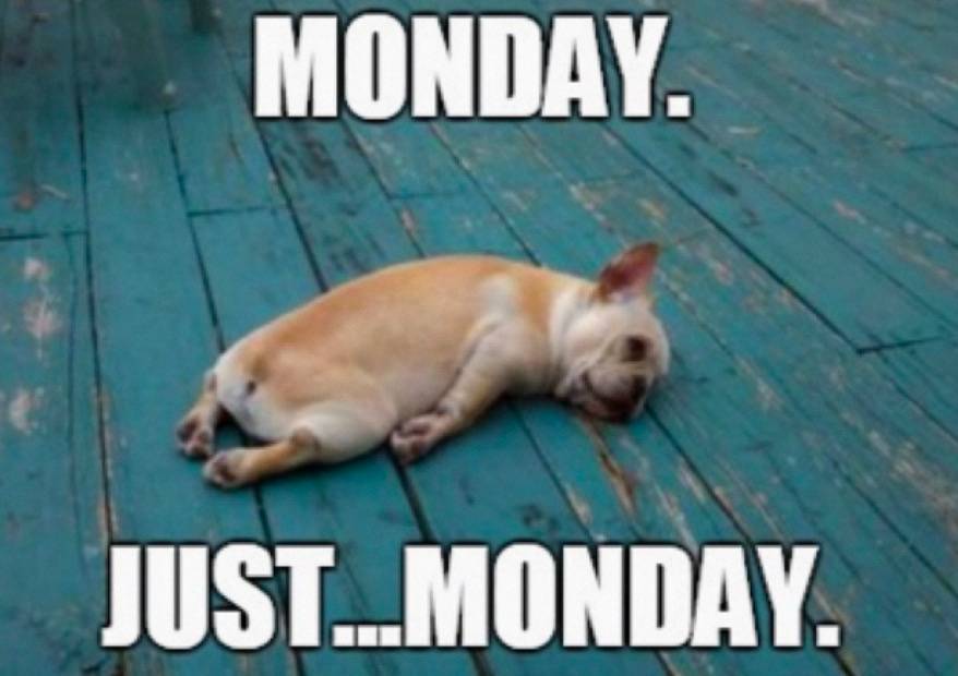 /quoccuongle/MultimodalOCR/raw/commit/6cf08ea00f53681dda45740860fbe81cc88f6f5a/models/mPLUG_Owl/examples/monday.jpg